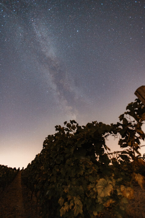 Canon RF 16mm 2.8 STM Test - Erfahrungen und Testbericht: Review des kleinen Ultraweitwinkel-Objektivs f&uuml;r das R-System 17