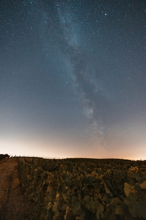 Canon RF 16mm 2.8 STM Test - Erfahrungen und Testbericht: Review des kleinen Ultraweitwinkel-Objektivs f&uuml;r das R-System 15