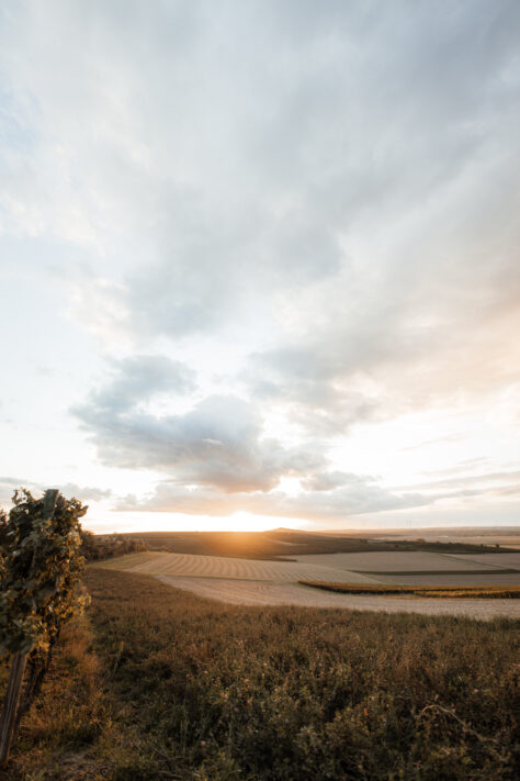 Sigma 14mm 1.8 Art Test - Review & Testbericht 9