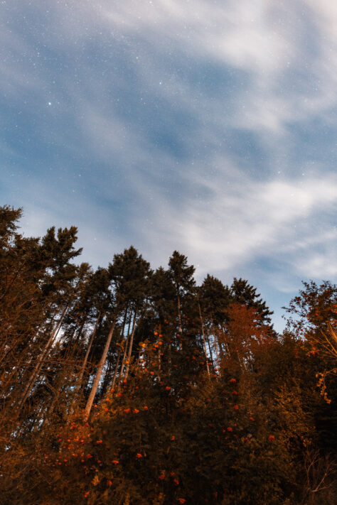 Sigma 14mm 1.8 Art Test - Review & Testbericht 26