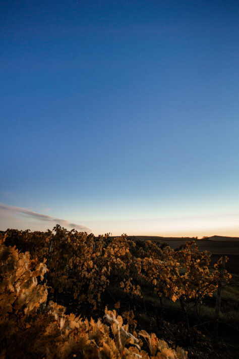 Sigma 14mm 1.8 Art Test - Review & Testbericht 15