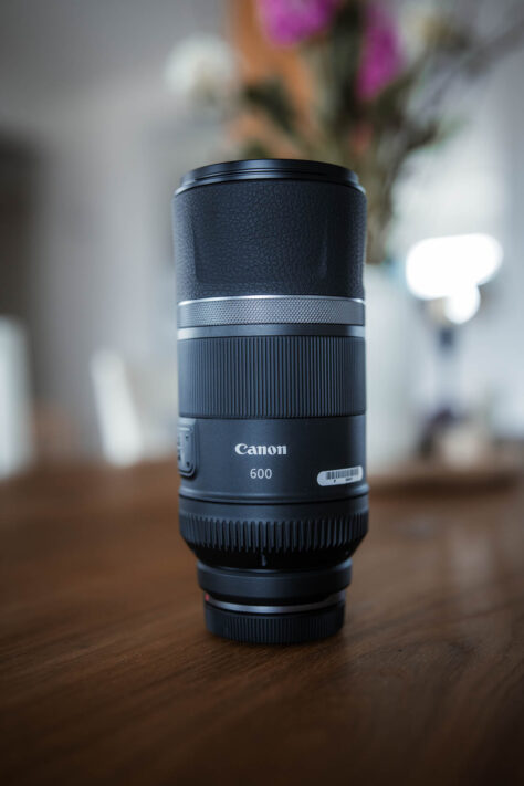 Canon RF 600mm F11 IS STM Test: Review / Testbericht f&uuml;r Canons kleines RF Einsteiger Superteleobjektiv 6