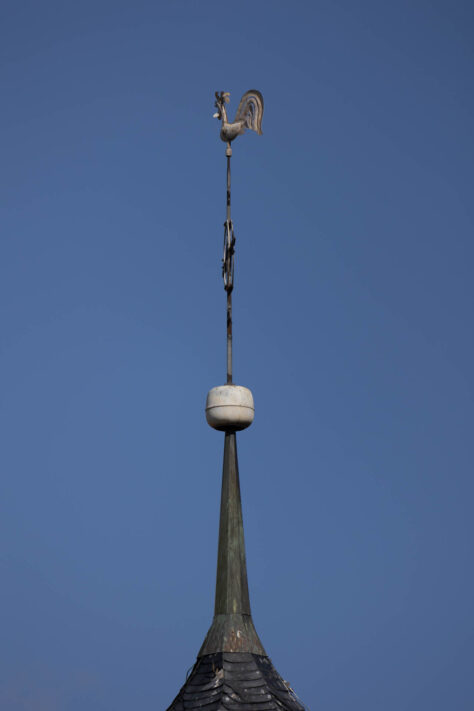 Canon RF 600mm F11 IS STM Test: Review / Testbericht f&uuml;r Canons kleines RF Einsteiger Superteleobjektiv 40