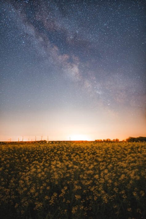 Canon RF-Adapter im Test: EF Adapter f&uuml;r EOS R5, R6, R7, RP, R10 2