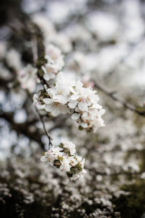 TTArtisan 50mm 1.4 Tilt Test - Review und Erfahrungsbericht 20