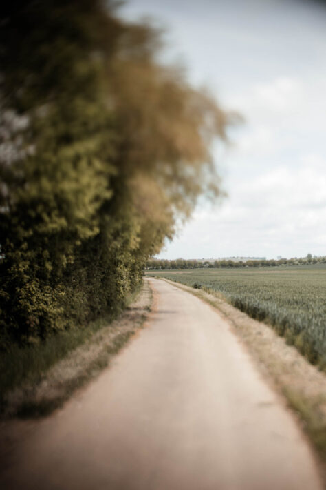 TTArtisan 50mm 1.4 Tilt Test - Review und Erfahrungsbericht 14