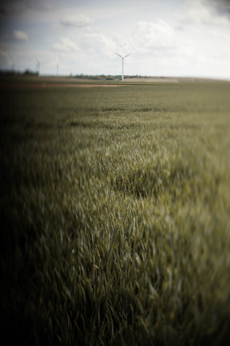 TTArtisan 50mm 1.4 Tilt Test - Review und Erfahrungsbericht 28