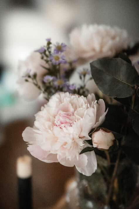 Canon EOS R6 vs EOS R6 Mark II - Vergleich der Canon DSLM 8