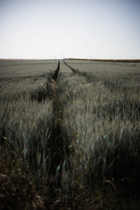 Canon RF 50mm 1.8 STM Test - top Einsteiger Festbrennweite 27