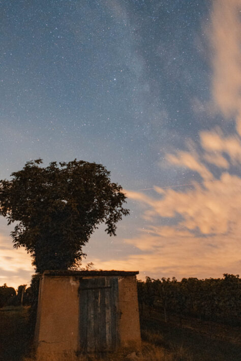 Canon EOS R50 Test 2026: Meine Erfahrungen nach 4 Wochen Praxis (Foto & Video) 13