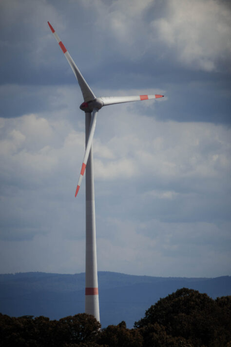 Canon EOS R50 Test 2026: Meine Erfahrungen nach 4 Wochen Praxis (Foto & Video) 42