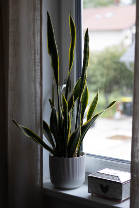 Canon EOS R50 Test 2026: Meine Erfahrungen nach 4 Wochen Praxis (Foto & Video) 71