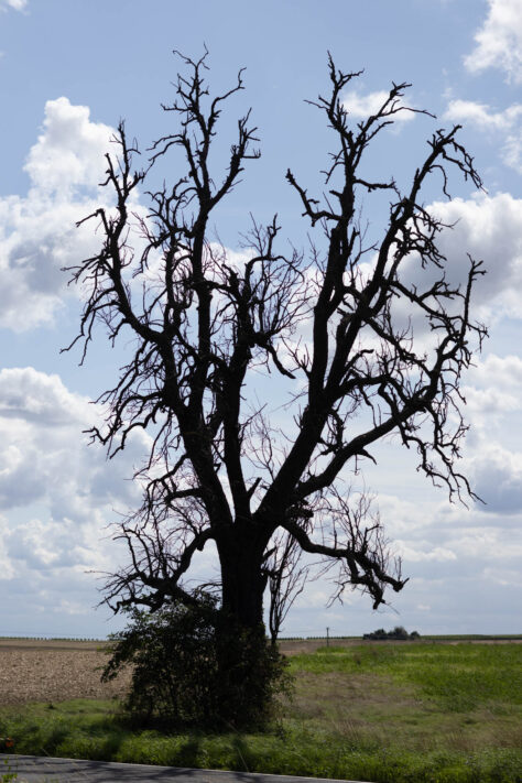 Canon EOS R50 Test 2026: Meine Erfahrungen nach 4 Wochen Praxis (Foto & Video) 79