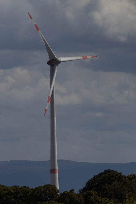 Canon EOS R50 Test 2026: Meine Erfahrungen nach 4 Wochen Praxis (Foto & Video) 85