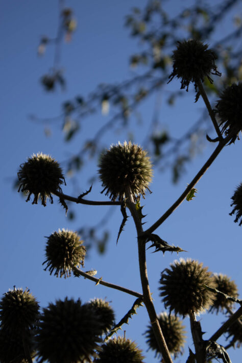 Canon EOS R50 Test 2026: Meine Erfahrungen nach 4 Wochen Praxis (Foto & Video) 63