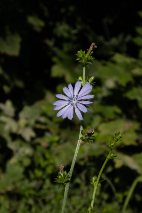 Canon EOS R50 Test 2026: Meine Erfahrungen nach 4 Wochen Praxis (Foto & Video) 64