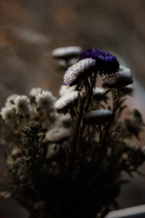 TTArtisan 100mm 2.8 Test: Seifenblasen (Bubble)-Bokeh Trioplan Alternative 69