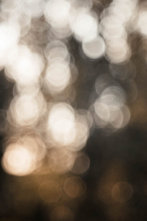 TTArtisan 100mm 2.8 Test: Seifenblasen (Bubble)-Bokeh Trioplan Alternative 62