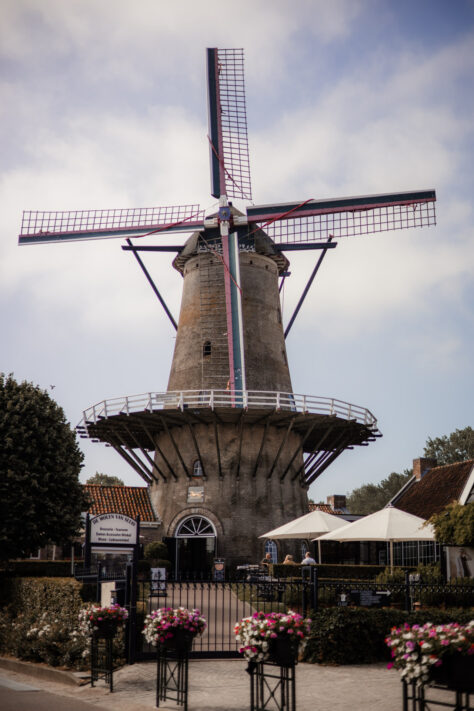 Canon RF 50mm 1.8 STM Test - top Einsteiger Festbrennweite 77