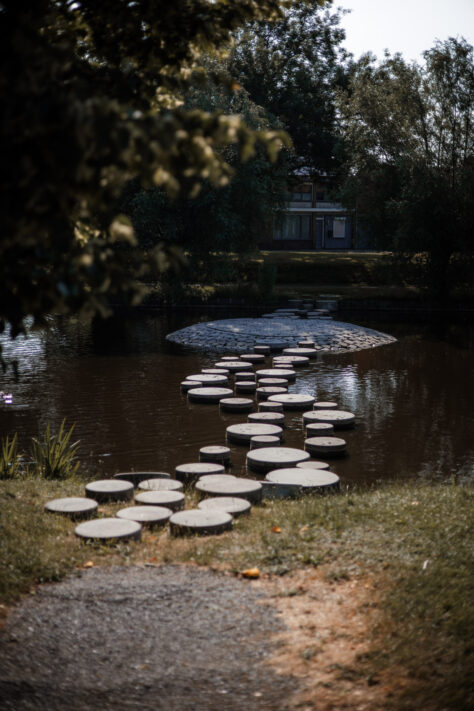 Canon RF 50mm 1.8 STM Test - top Einsteiger Festbrennweite 64