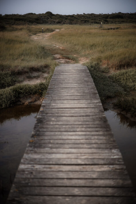 Canon RF 50mm 1.8 STM Test - top Einsteiger Festbrennweite 50