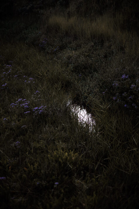 Canon RF 50mm 1.8 STM Test - top Einsteiger Festbrennweite 48