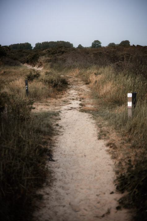 Canon RF 50mm 1.8 STM Test - top Einsteiger Festbrennweite 43