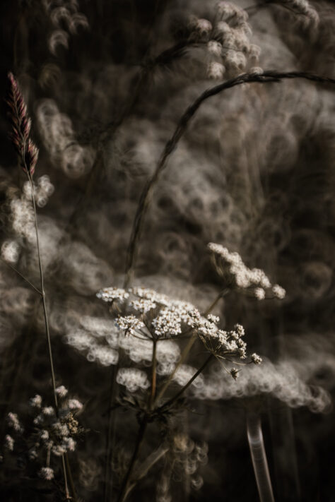 TTArtisan 250mm F5.6 Reflex Spiegelobjektiv Test 38