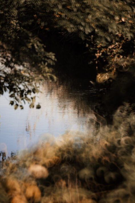 TTArtisan 250mm F5.6 Reflex Spiegelobjektiv Test 39