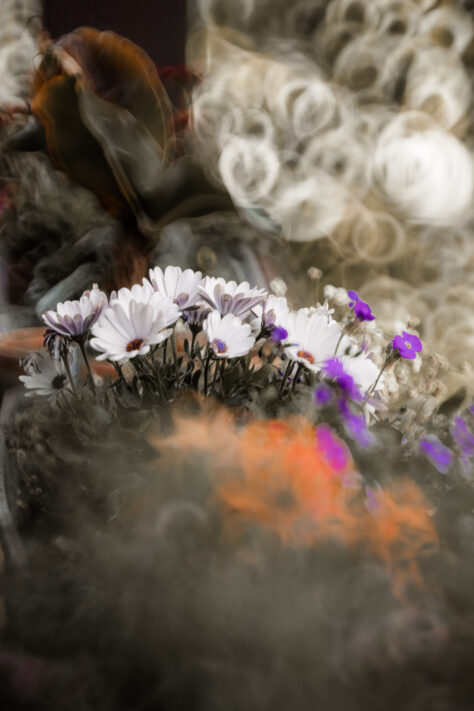 TTArtisan 250mm F5.6 Reflex Spiegelobjektiv Test 33