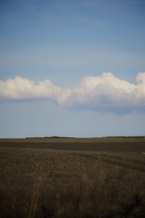 TTArtisan 250mm F5.6 Reflex Spiegelobjektiv Test 19