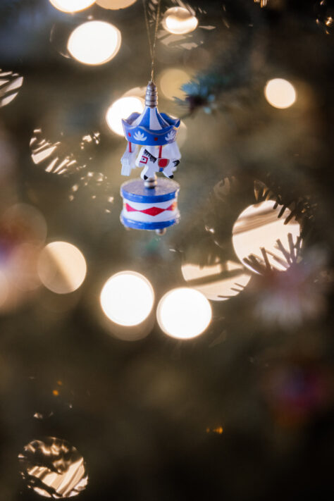 Canon RF 85mm 1.2 L USM Test (DS und non DS Version) 115