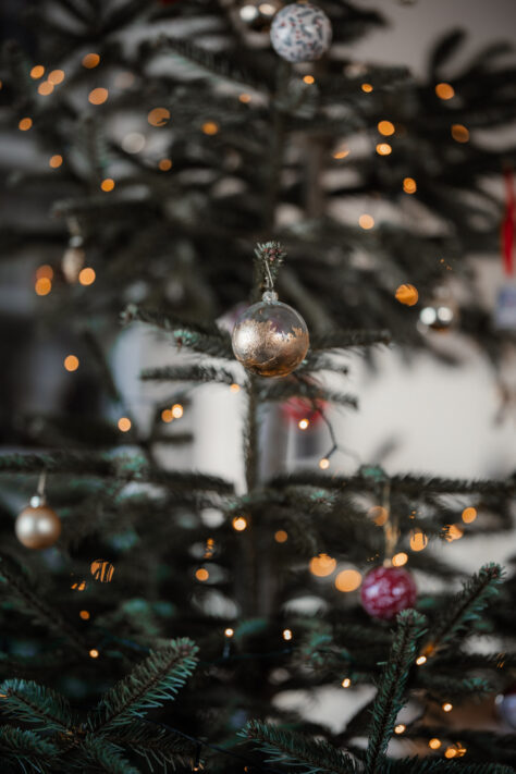 Canon RF 85mm 1.2 L USM Test (DS und non DS Version) 111