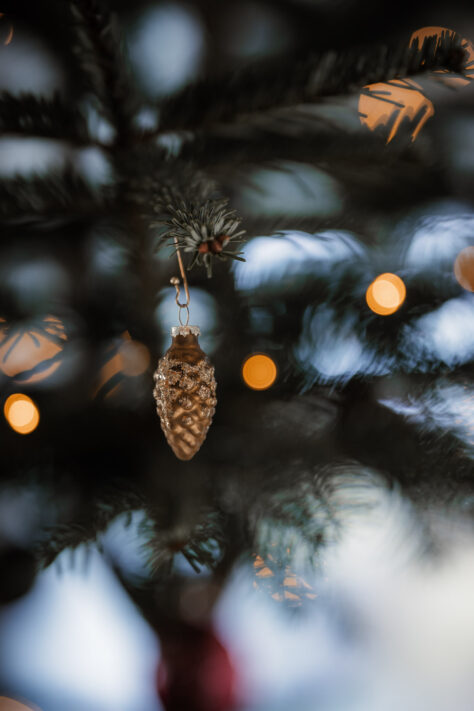 Canon RF 85mm 1.2 L USM Test (DS und non DS Version) 112