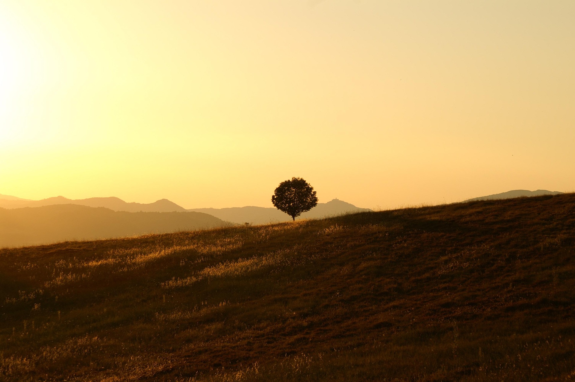Sonnenuntergang fotografieren – Tipps & Inspiration - sonnenuntergang baum Sonnenuntergang fotografieren – Tipps & Inspiration - sonnenuntergang baum