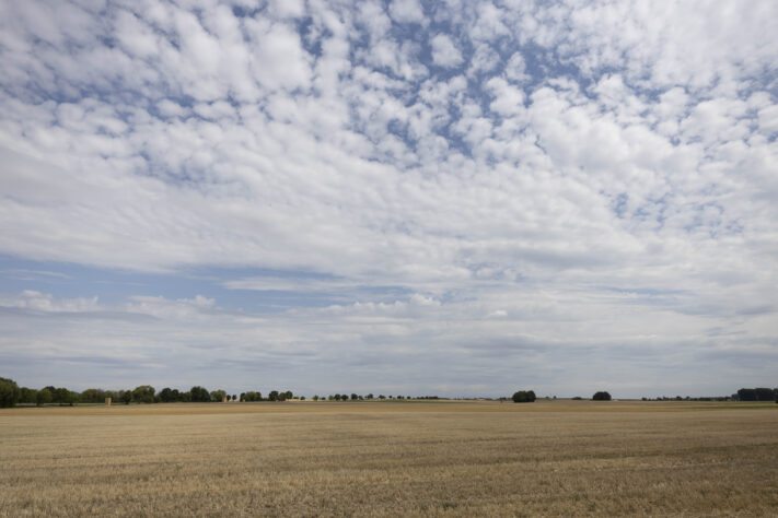 Canon RF 20mm f/1.4L VCM Test - rf 20mm 14 l vcm 29 Canon RF 20mm f/1.4L VCM Test - rf 20mm 14 l vcm 29