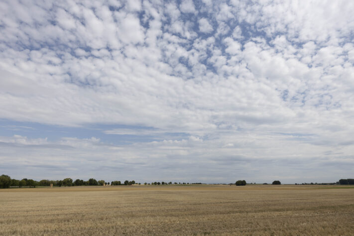 Canon RF 20mm f/1.4L VCM Test - rf 20mm 14 l vcm 30 Canon RF 20mm f/1.4L VCM Test - rf 20mm 14 l vcm 30