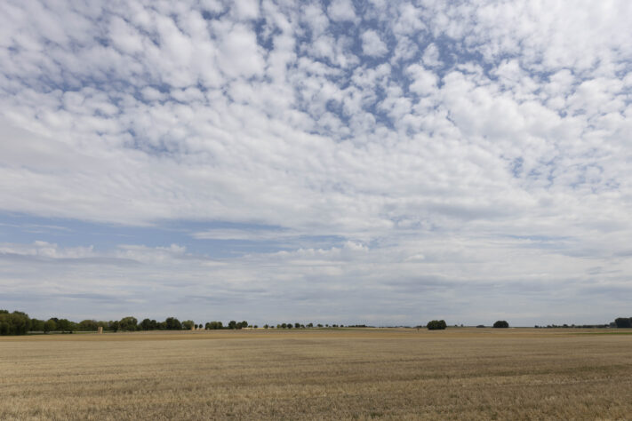 Canon RF 20mm f/1.4L VCM Test - rf 20mm 14 l vcm 31 Canon RF 20mm f/1.4L VCM Test - rf 20mm 14 l vcm 31
