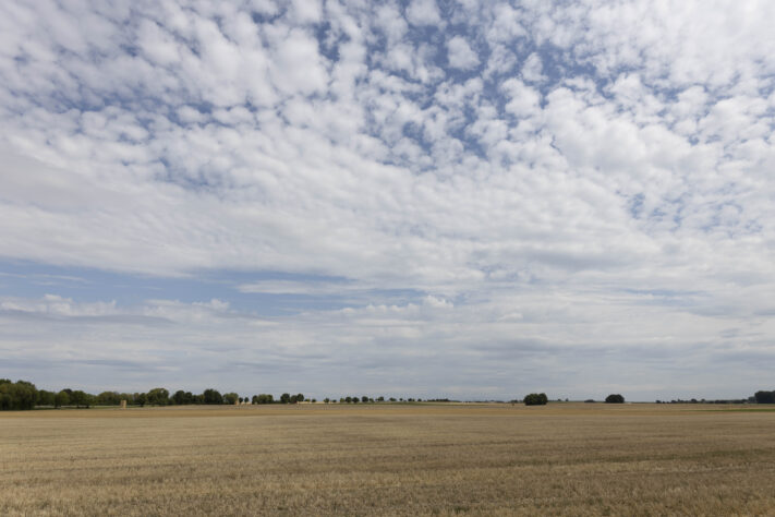 Canon RF 20mm f/1.4L VCM Test - rf 20mm 14 l vcm 32 Canon RF 20mm f/1.4L VCM Test - rf 20mm 14 l vcm 32