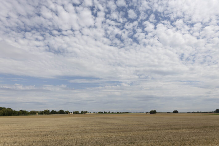 Canon RF 20mm f/1.4L VCM Test - rf 20mm 14 l vcm 33 Canon RF 20mm f/1.4L VCM Test - rf 20mm 14 l vcm 33