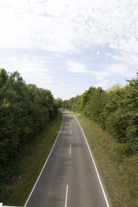 Canon RF 20mm f/1.4L VCM Test 41