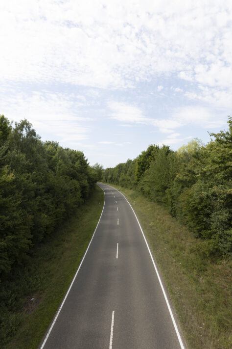 Canon RF 20mm f/1.4L VCM Test 45