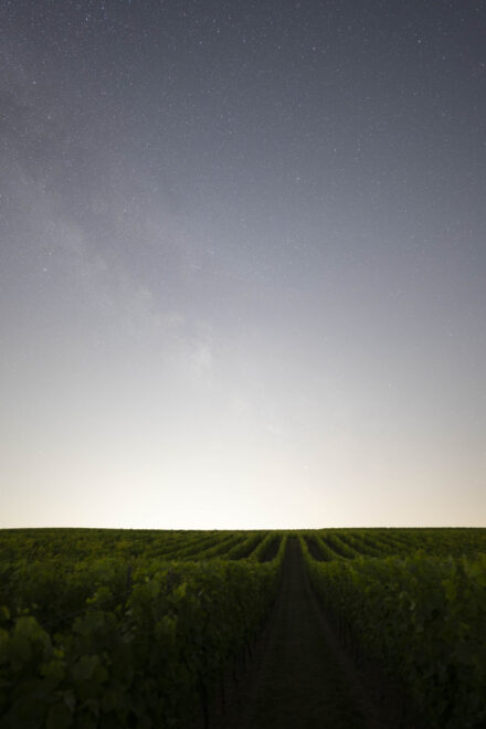 Canon RF 20mm f/1.4L VCM Test - rf 20mm 14 l vcm milky 1 2 Canon RF 20mm f/1.4L VCM Test - rf 20mm 14 l vcm milky 1 2