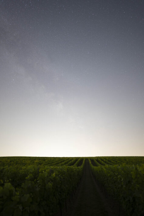 Canon RF 20mm f/1.4L VCM Test 20