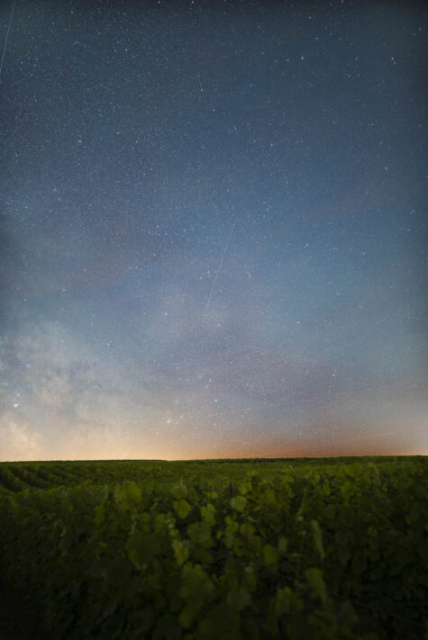 Canon RF 20mm f/1.4L VCM Test 25