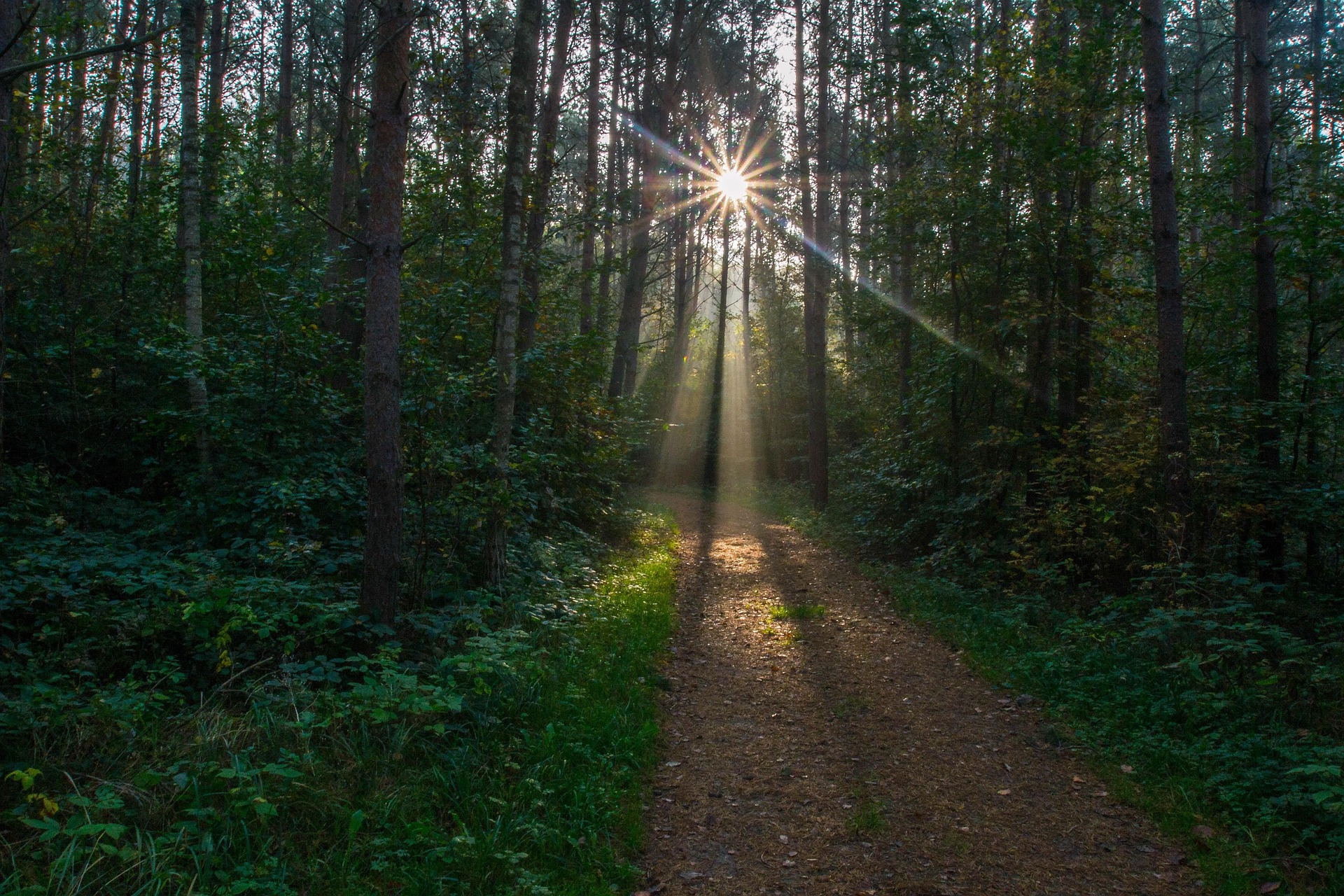 Sonnensterne fotografieren - Anleitung und Einstellungen - sonnenstern Sonnensterne fotografieren - Anleitung und Einstellungen - sonnenstern