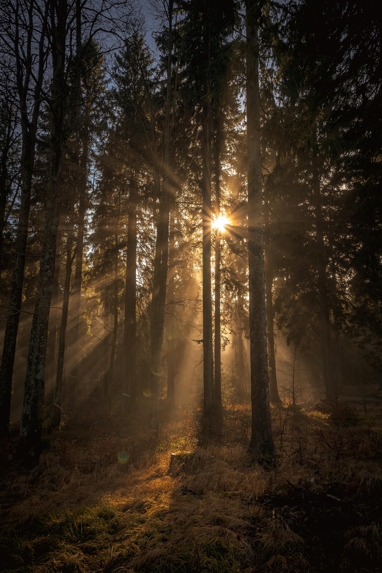 Sonnensterne fotografieren - Anleitung und Einstellungen - sonnensterne fotografieren einstellung Sonnensterne fotografieren - Anleitung und Einstellungen - sonnensterne fotografieren einstellung