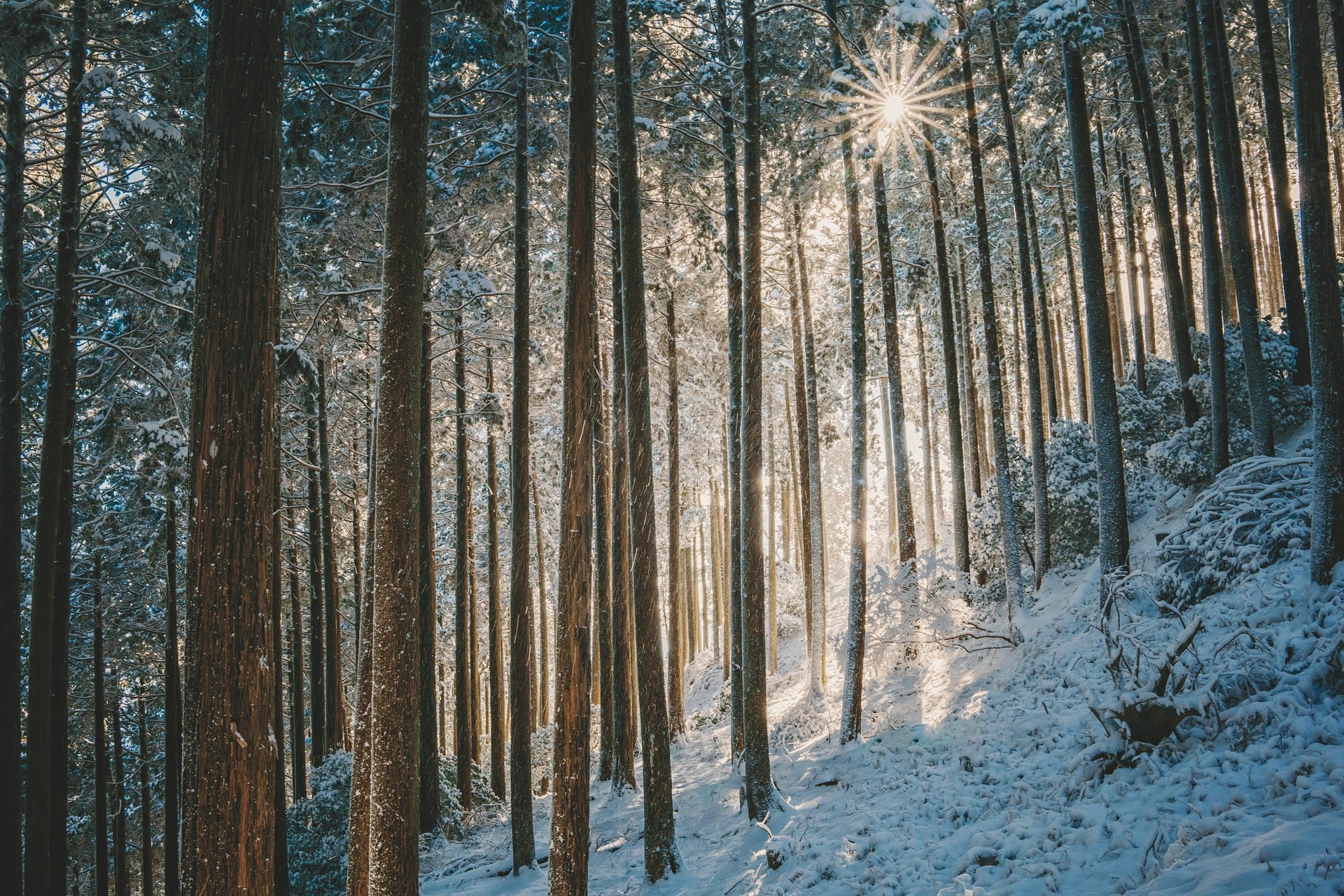 Sonnensterne fotografieren - Anleitung und Einstellungen - sonnensterne fotografieren landschaftsfotografie Sonnensterne fotografieren - Anleitung und Einstellungen - sonnensterne fotografieren landschaftsfotografie