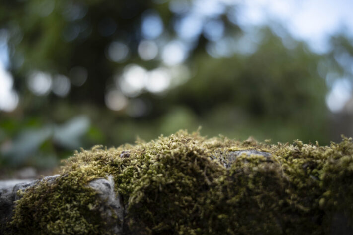 7Artisans 35mm 1.8 AF Test - Review des neuen Weitwinkelobjektivs - 7artisans 35mm 1 4 af test 38 7Artisans 35mm 1.8 AF Test - Review des neuen Weitwinkelobjektivs - 7artisans 35mm 1 4 af test 38