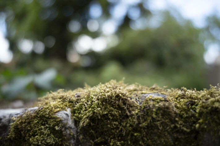 7Artisans 35mm 1.8 AF Test - Review des neuen Weitwinkelobjektivs - 7artisans 35mm 1 4 af test 39 7Artisans 35mm 1.8 AF Test - Review des neuen Weitwinkelobjektivs - 7artisans 35mm 1 4 af test 39